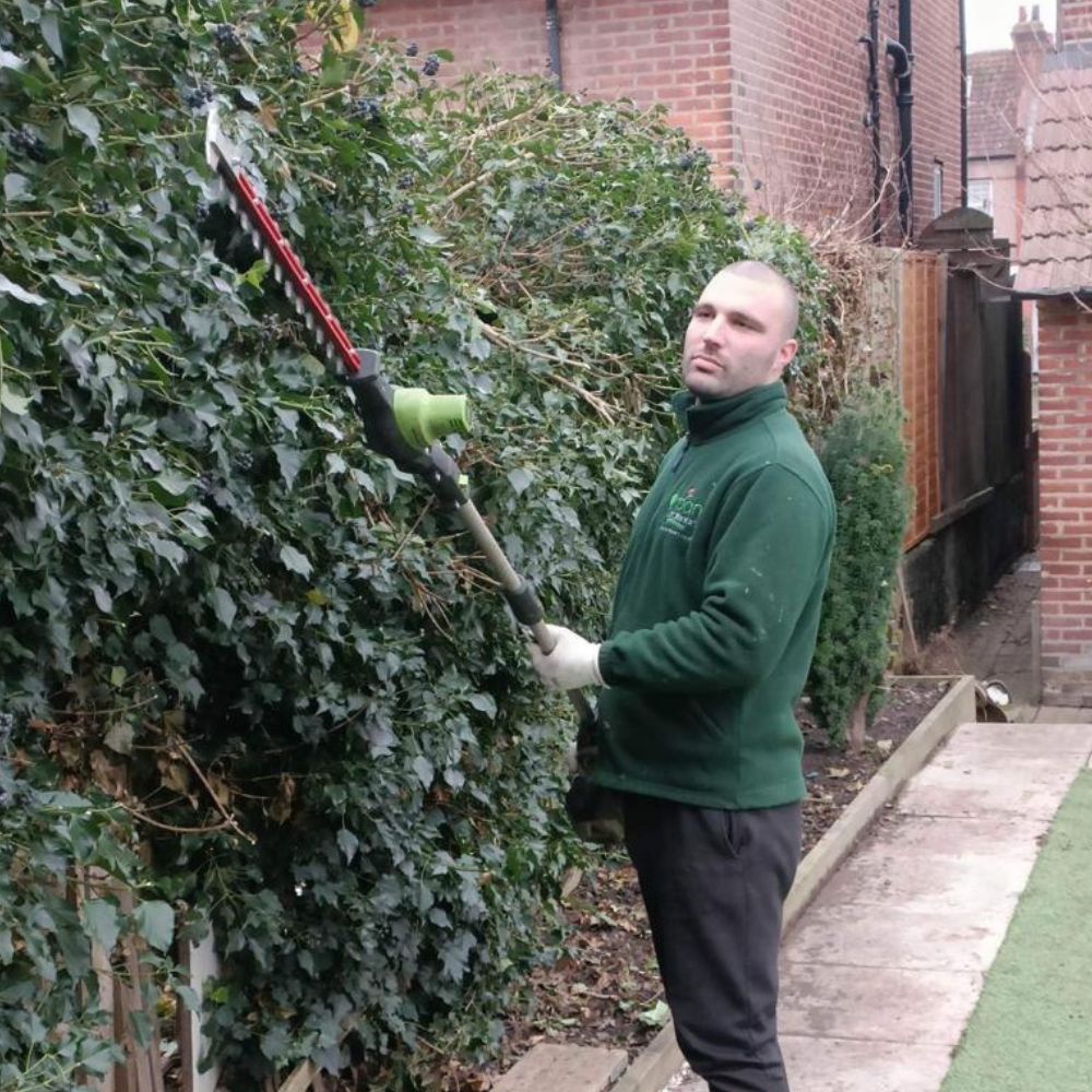 garden maintenance in South East London 