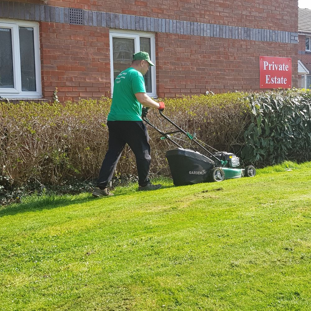 lawn care services South East London