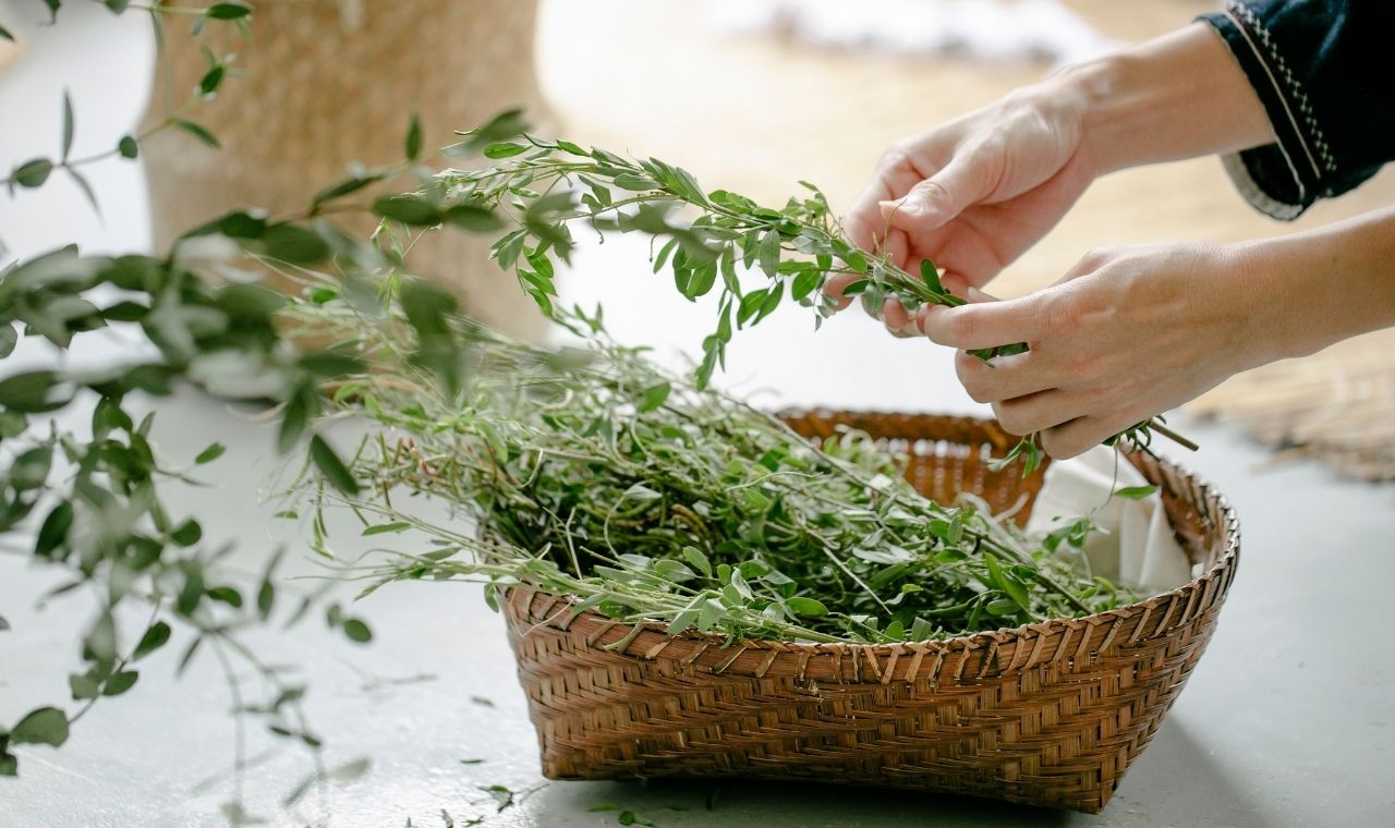 buy-split-use-plant concept is your best friend