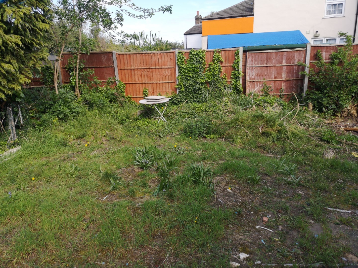 garden clean-up experts Catford