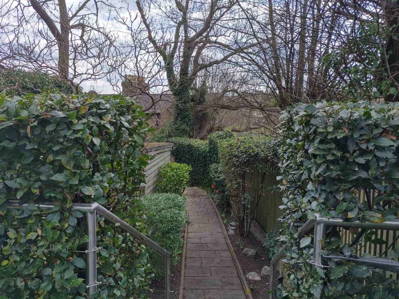 garden tidy-up Forest Hill