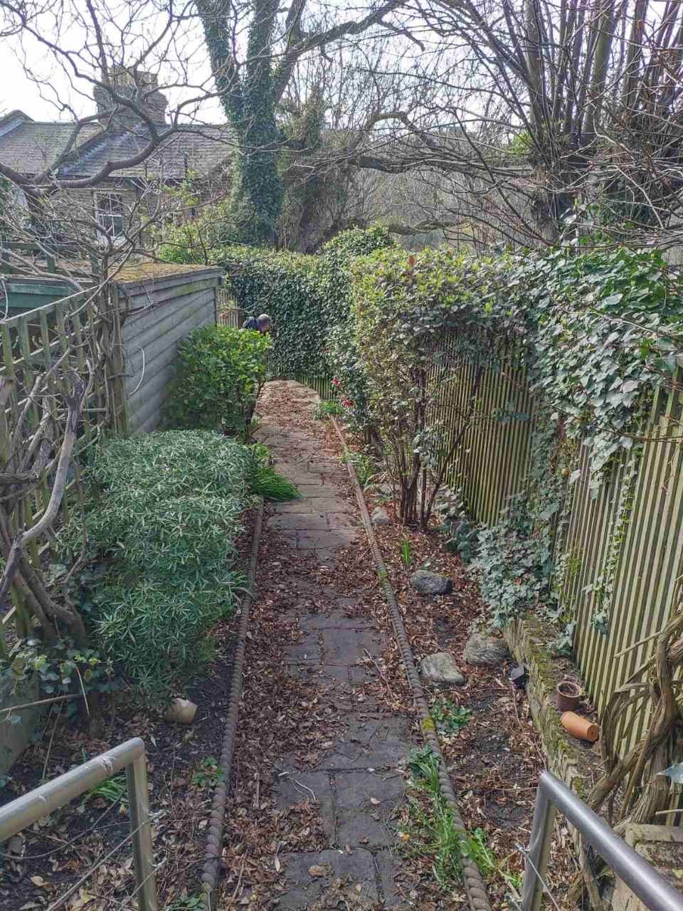 leaf clearance Forest Hill