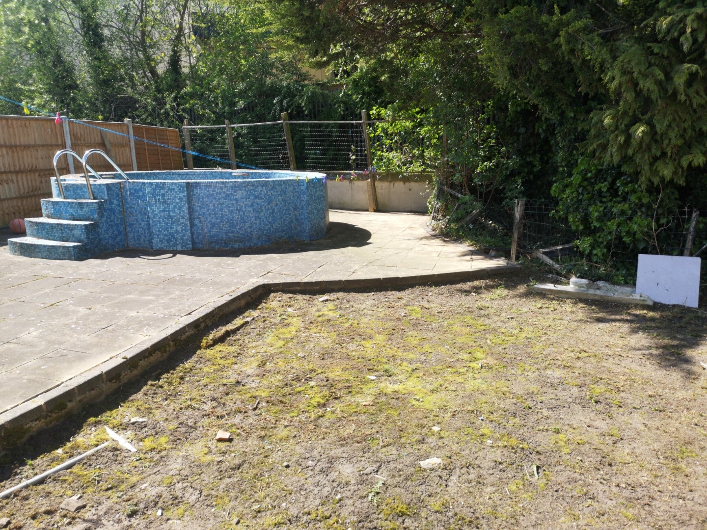 overgrown garden clearance Catford