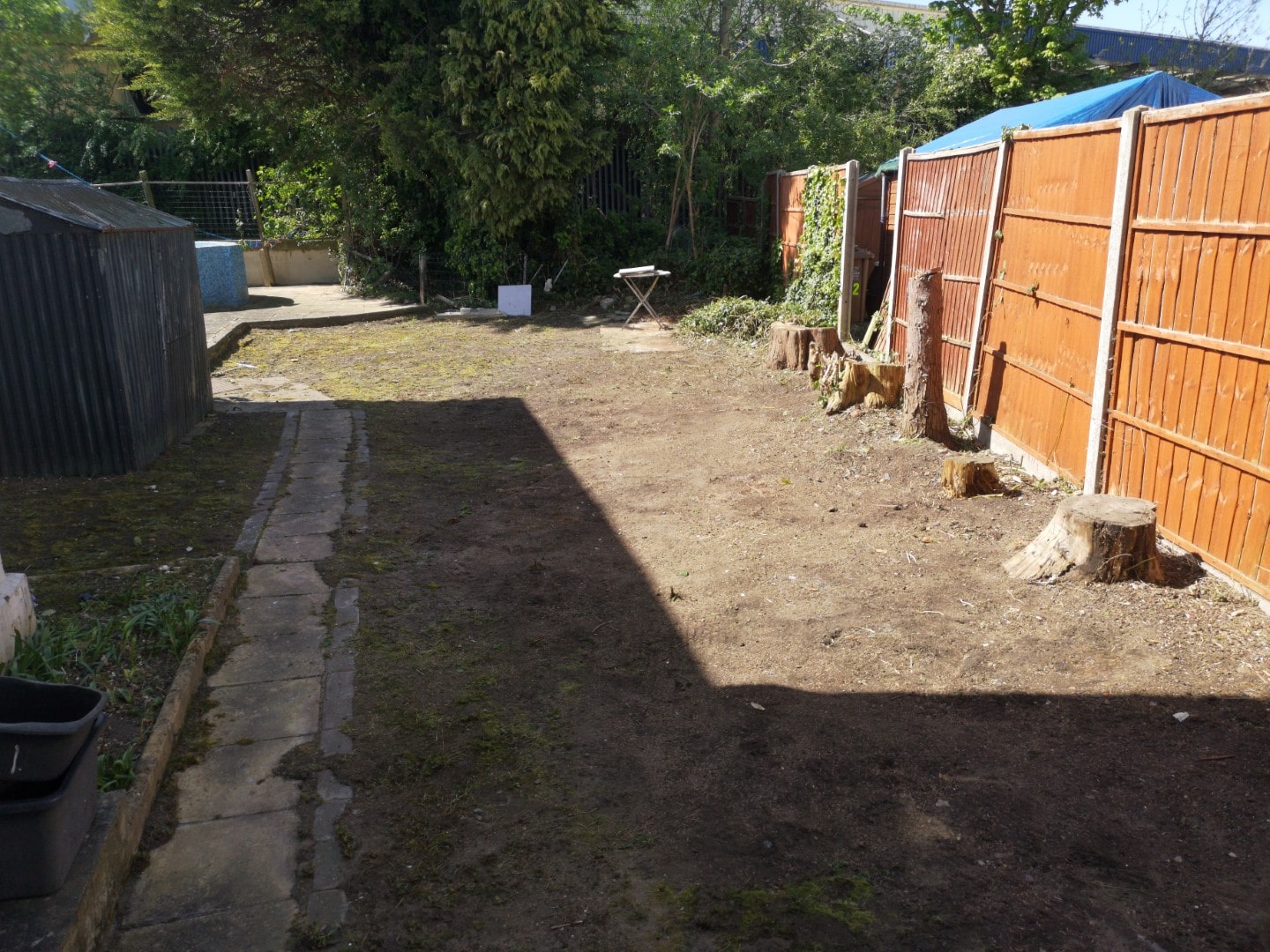overgrown garden clean-up Catford