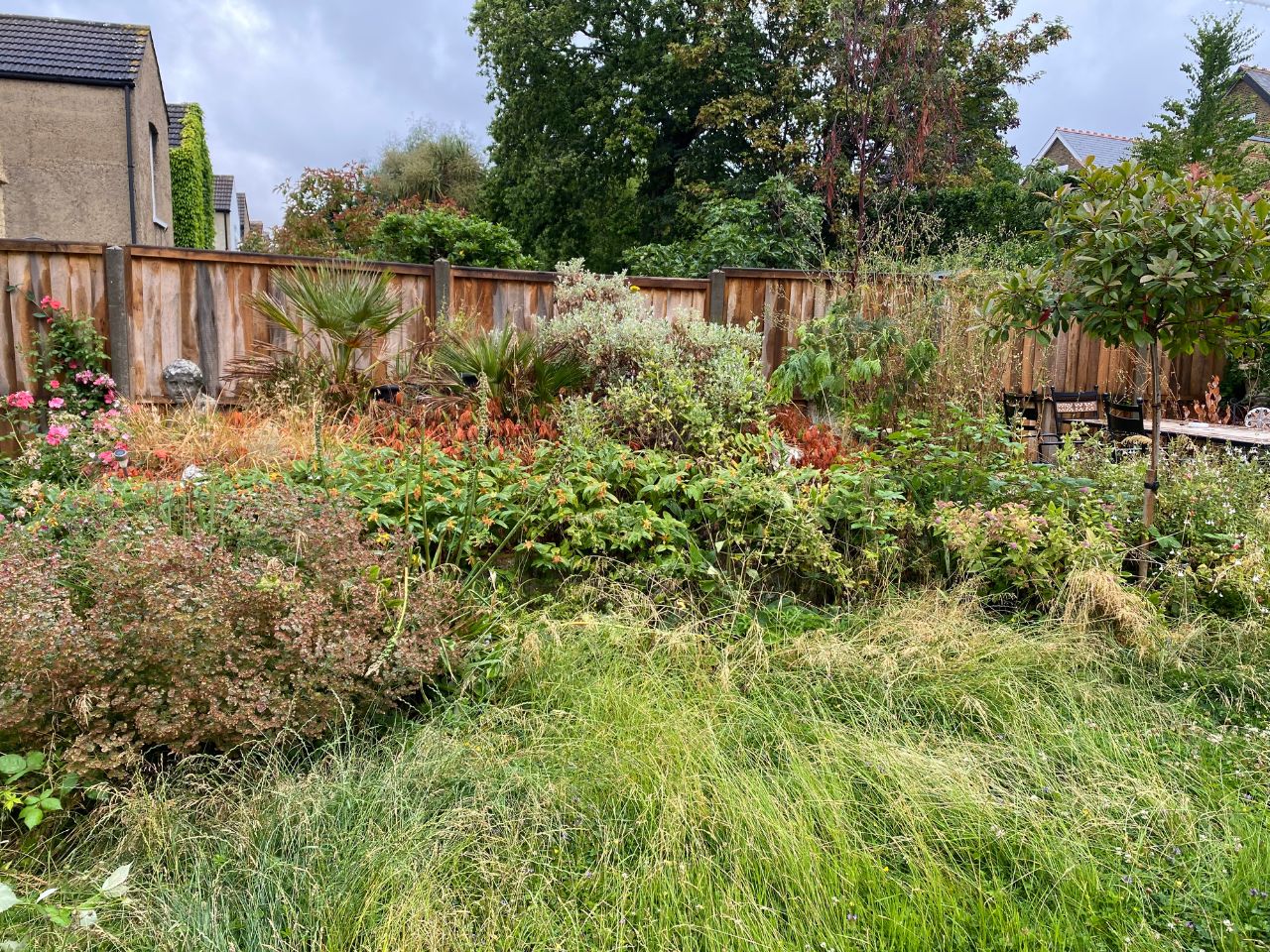 garden clearance Welling DA16