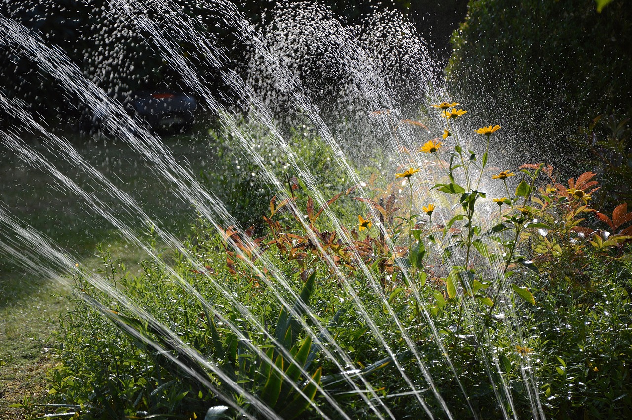 Watering garden