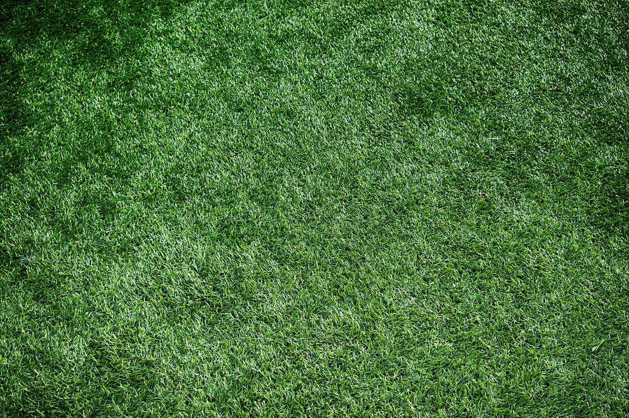 artificial-turf-1711556_1280