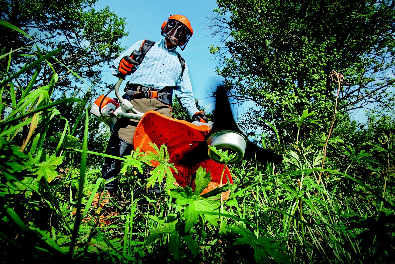 garden clearence service from urban garden 