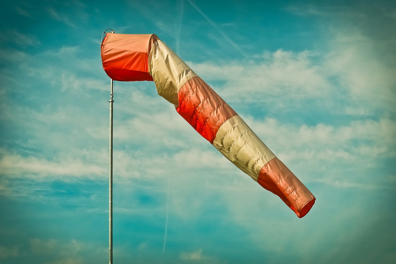Wind fance option