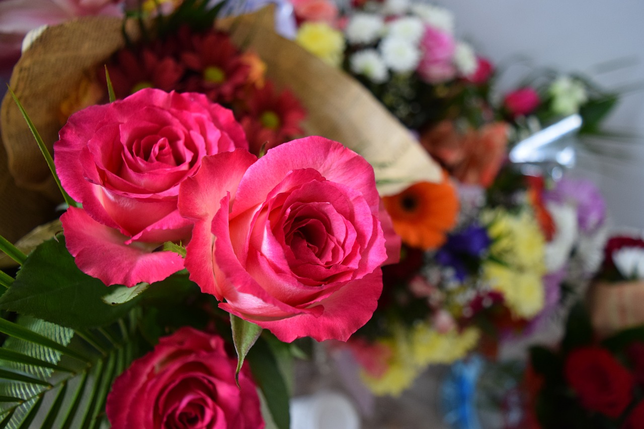Flowers's Language and Their Meanings