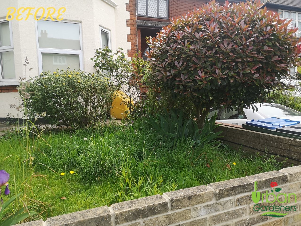 Garden Cleanup