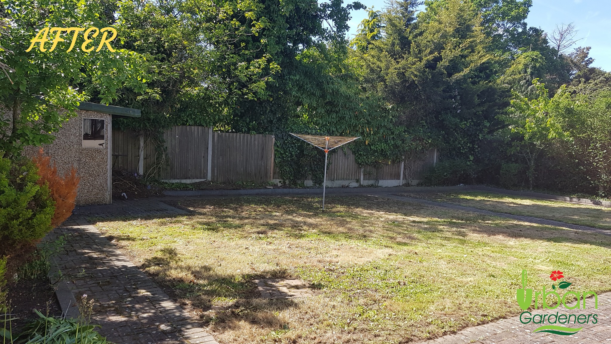 Lawn Techniques