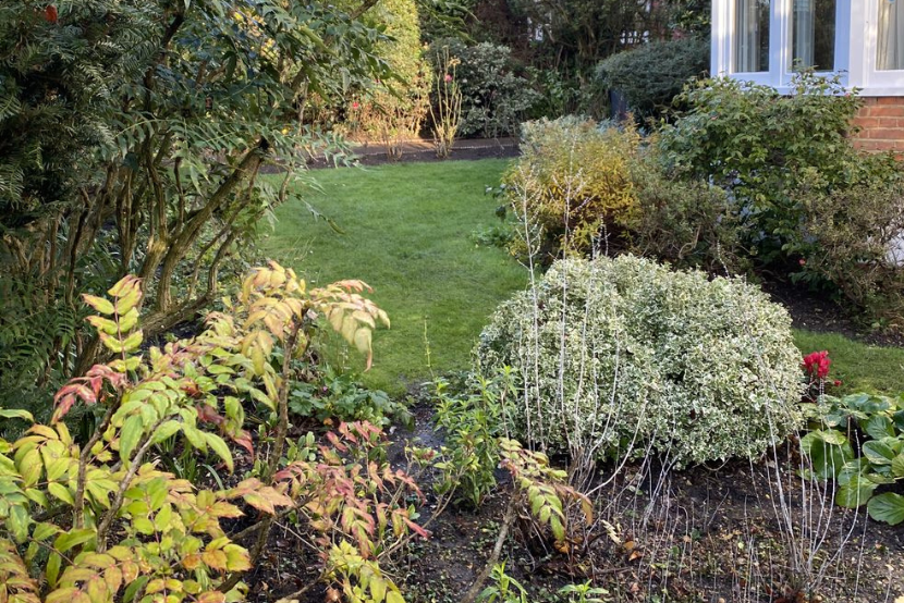plants care urban gardeners