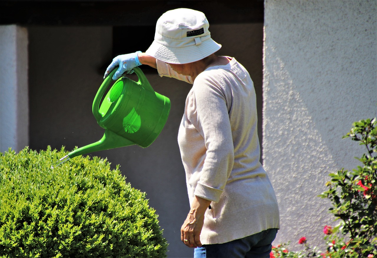 Deeply and Infrequently Watering