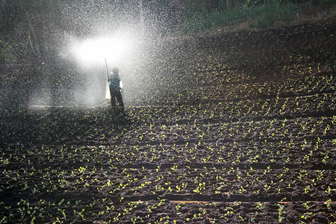 Fertilization – Essential Step After Scarification and Aeration