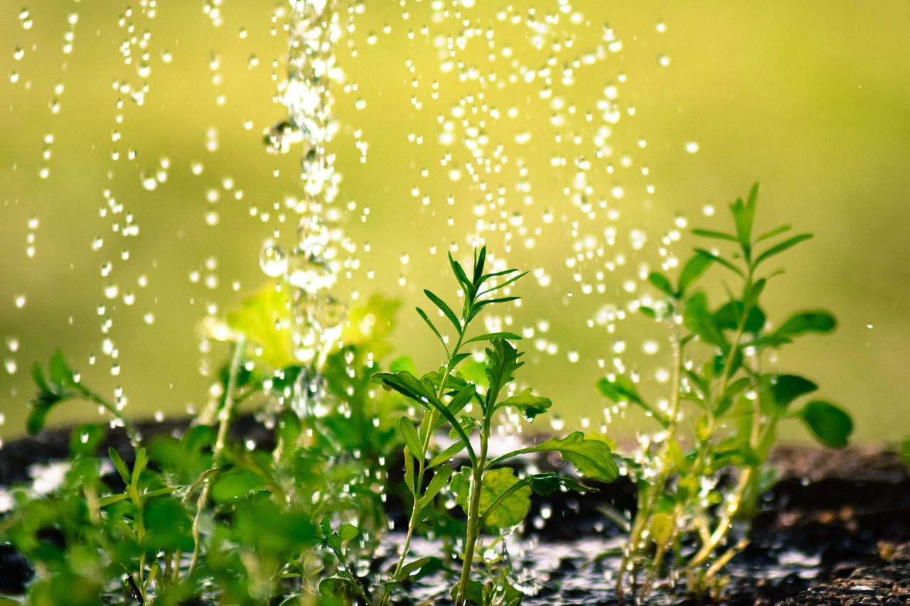 Mulch and Soil Amendments