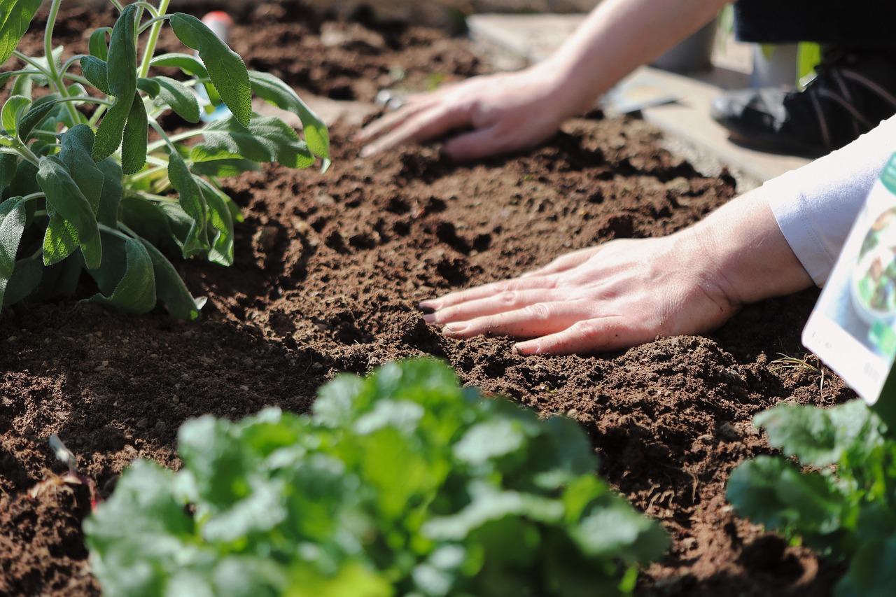 Soil structure