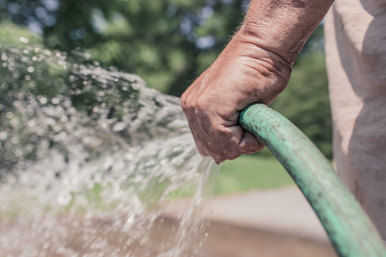 Watering Techniques for Your Garden