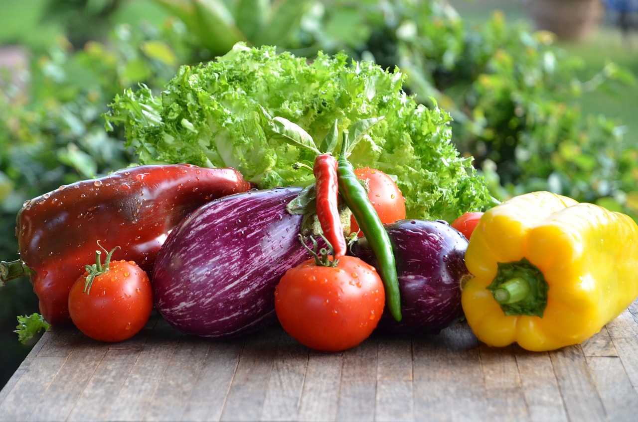 Harvesting Fruits and Vegetables for Your Next July Activities in Your Garden