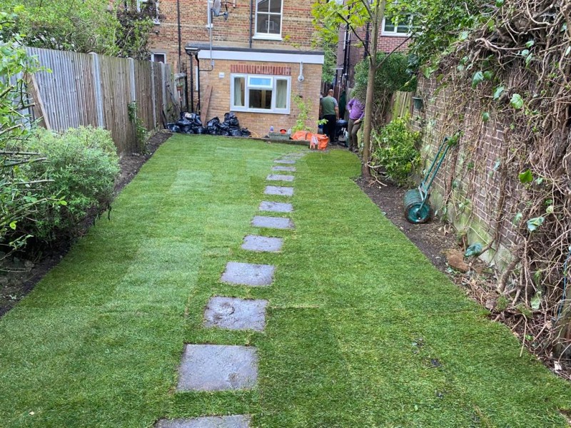 How to Deal with Flooding and Mud in the Garden During the Rainy Season