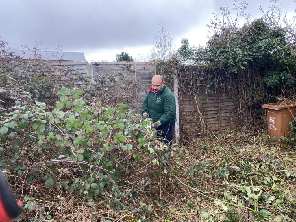 Yard and Garden Clearing in Eltham SE9, London: Professional and Efficient Service