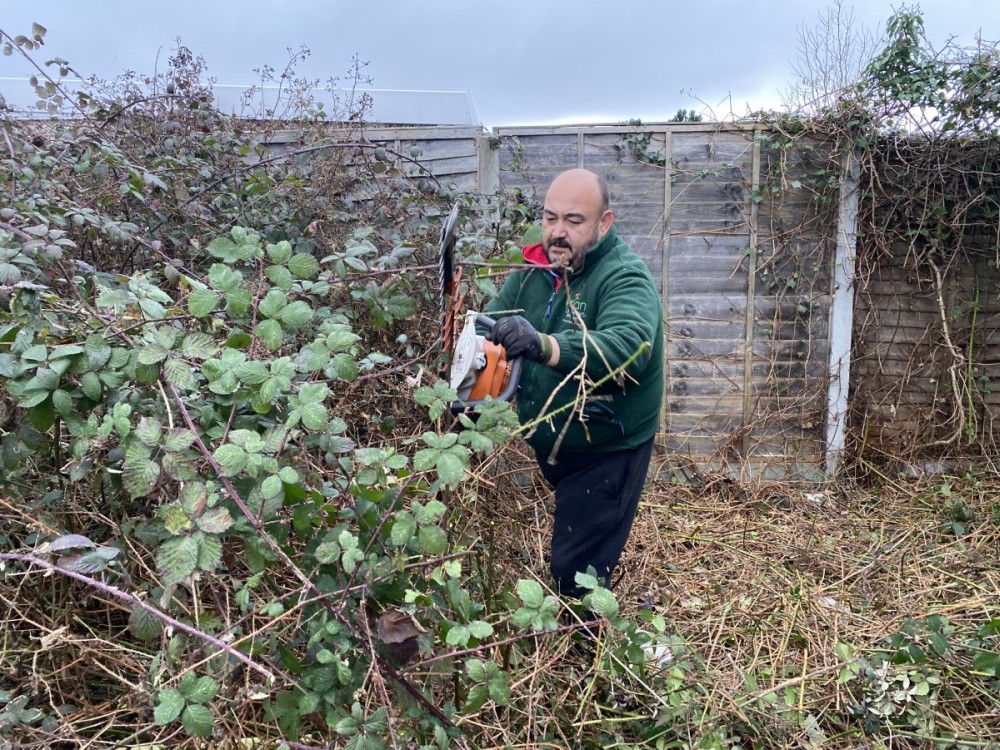 Spring Pruning: How to Prepare Your Garden for the Growing Season in South East London
