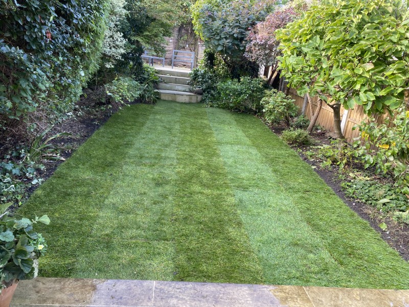 Lawn Care in South East London