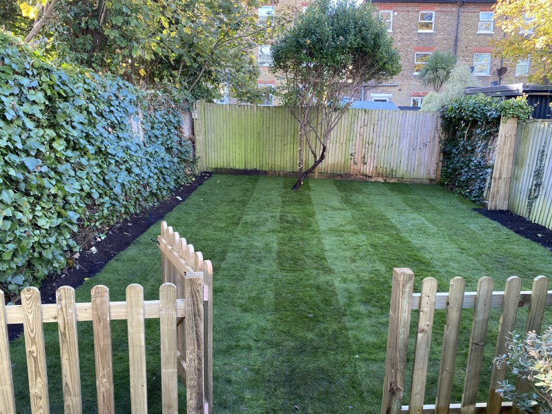 6IMG_5831 The Gardening Help You Need for Your New Home