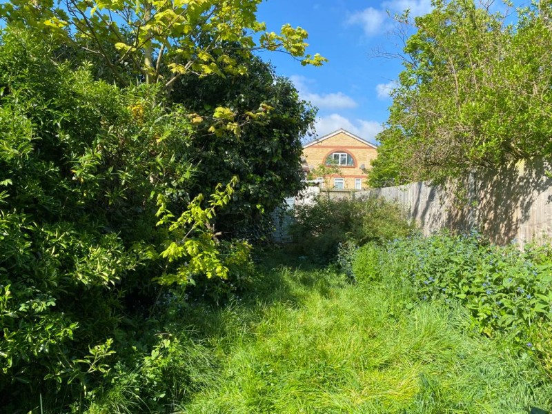 Plants to Enhance Your Garden and Attract Wildlife Year-Round