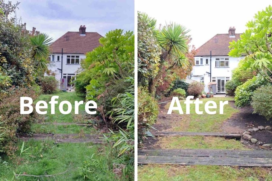 Garden Clearance in Abbey Wood SE2: Expert Advice
