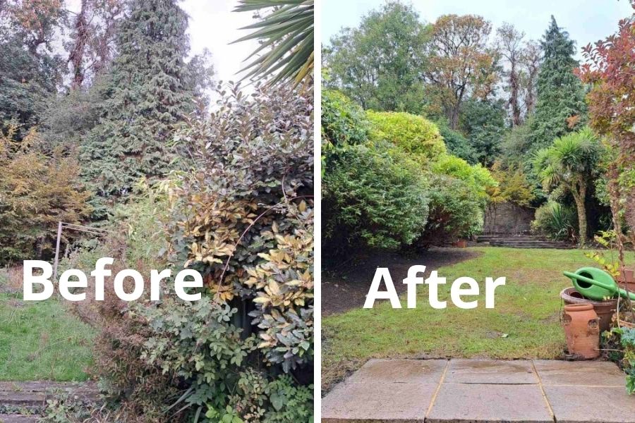Garden Clearance in Lee , SE12: Expert Advice