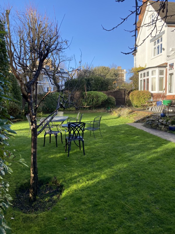 How to Create a Cozy Green Corner at Home – Easy and Quick Ideas