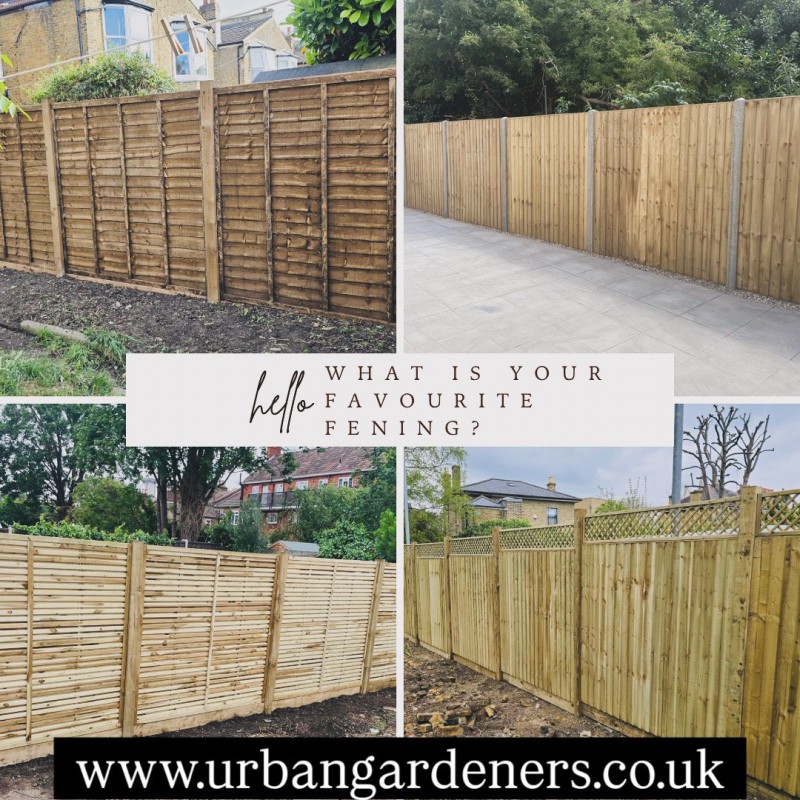 Autumn Landscaping Projects to Transform Your Garden