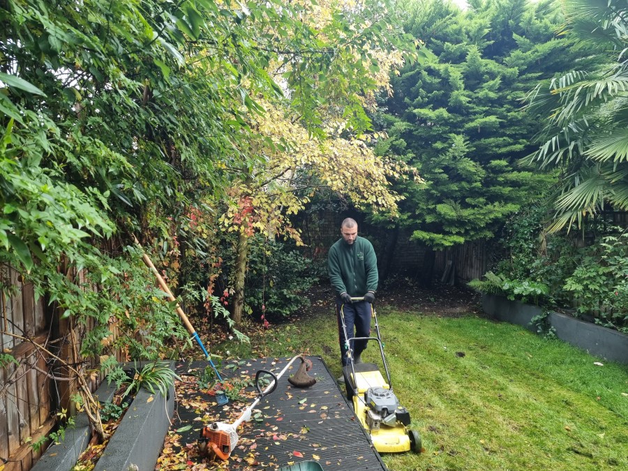 Why an Autumn Tidy-Up Is Essential for a Healthy Garden in South-East London