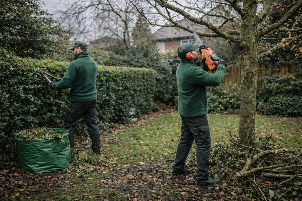 Tree & Hedge Pruning South East London