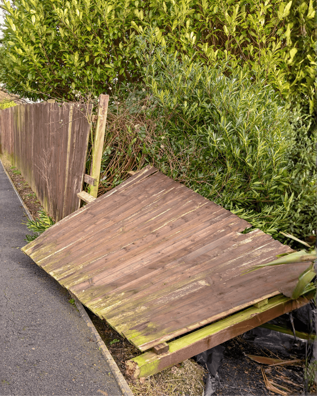 Blown down fence in South East London
