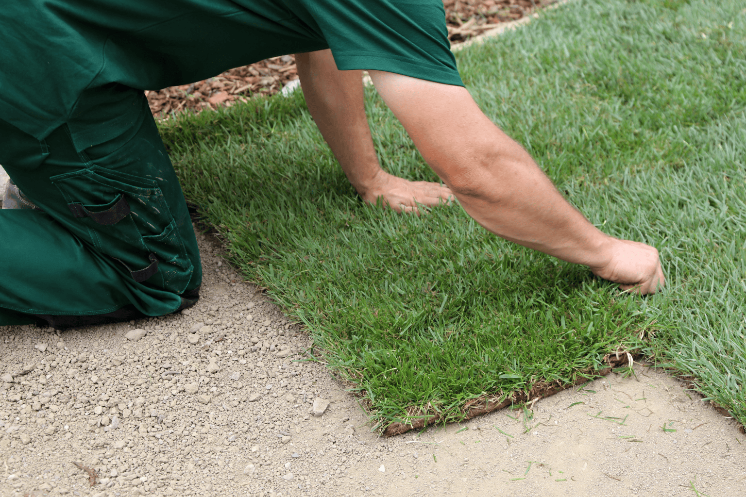Man from Urban Gardeners South East London lauing turf on the ground