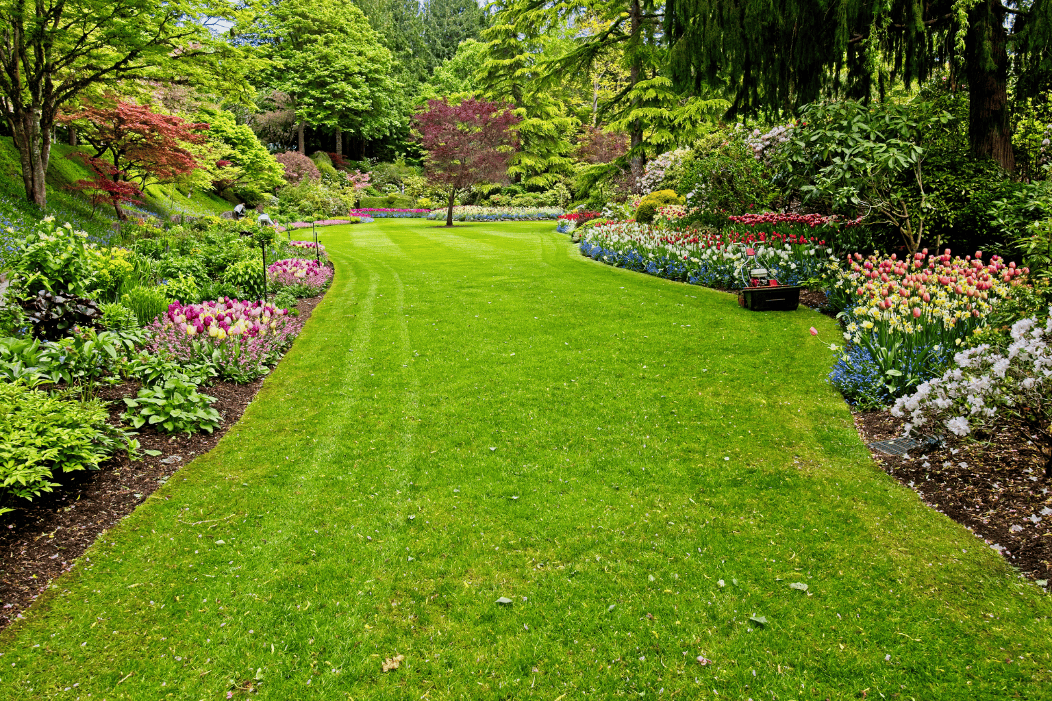 Backyard landscaping in South East London
