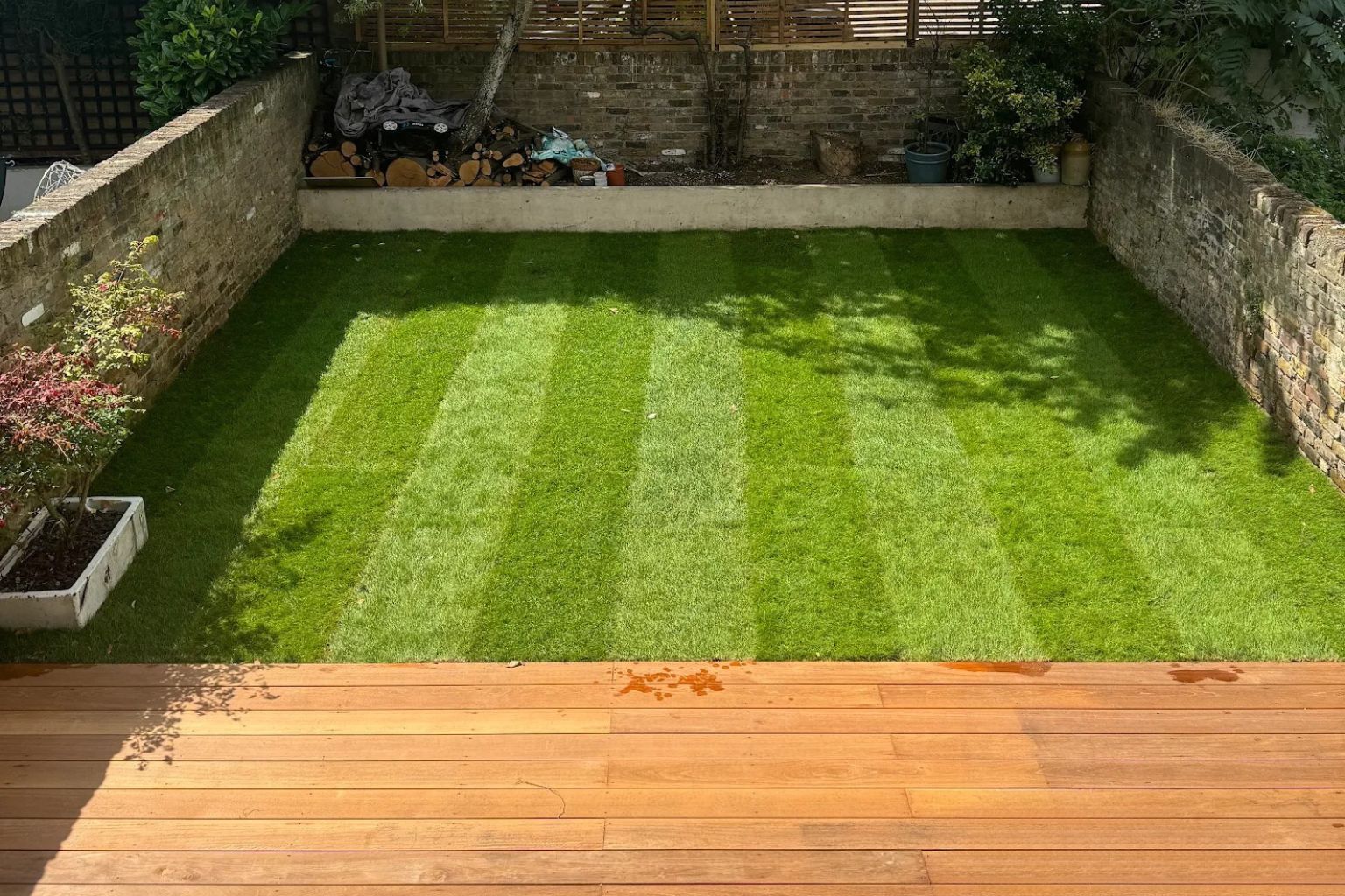 Freshly laid striped lawn in a South East London back garden with a new hardwood timber decking area in the foreground, a low rendered garden wall, and a wooden fence with mature shrubs and trees in the background