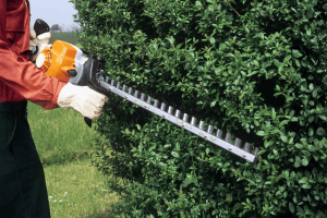 hedge trimming in south east london