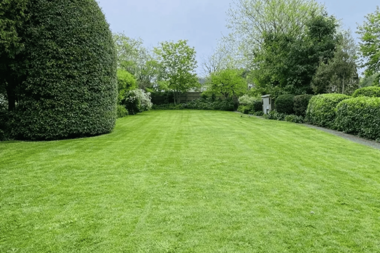Lawn mowing with Urban Gardeners in South East London