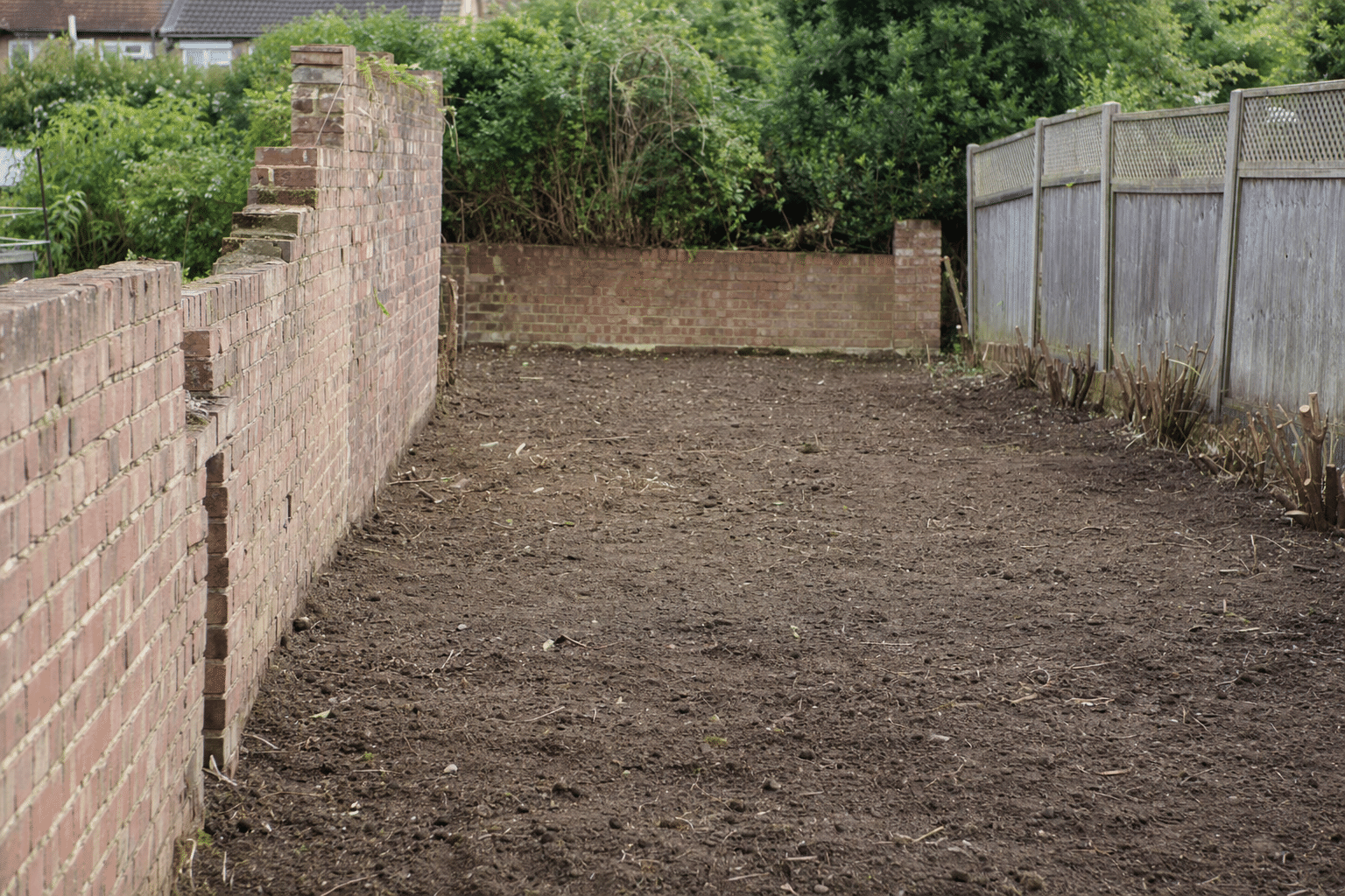 cleared back garden in Eltham SE9 with bare soil and a cut-back boundary after a full garden clearance