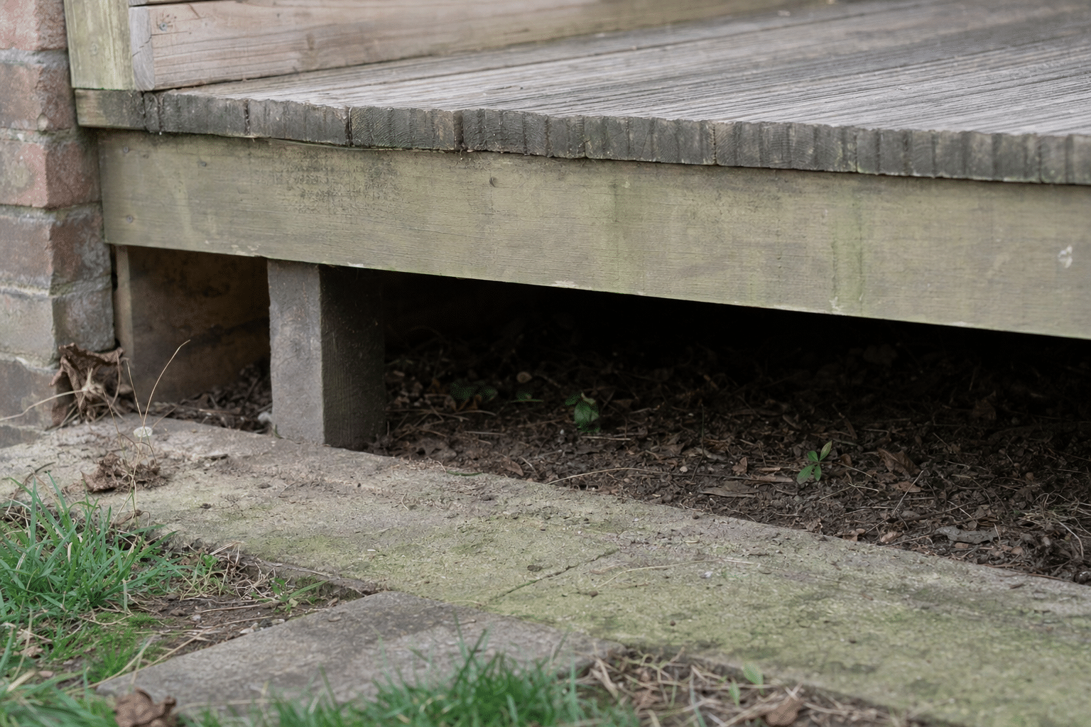 gap under raised timber decking in a small terraced back garden in Peckham SE15 before galvanised mesh was fitted