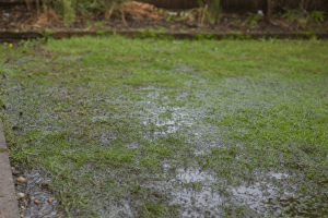waterlogged back lawn standing in water after heavy rain in Catford SE6