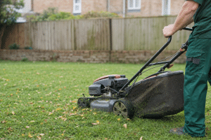 The Last Mow of the Year in South East London: When to Stop Cutting in November