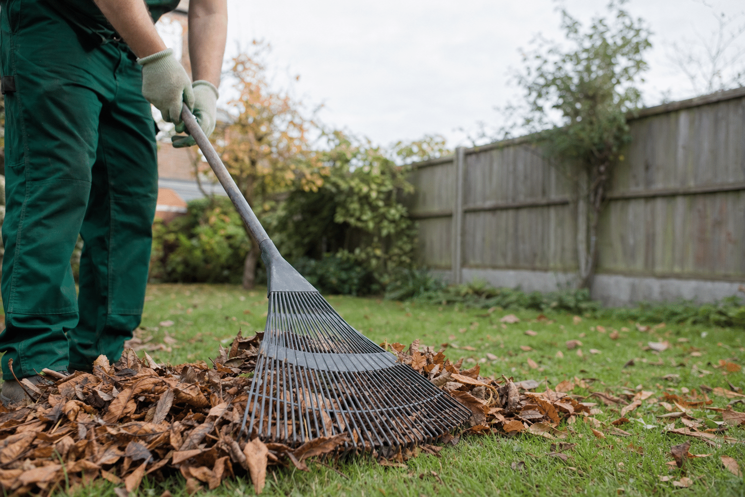 Leaf Clearance in South East London: What It Costs to Get Leaves Off Your Lawn