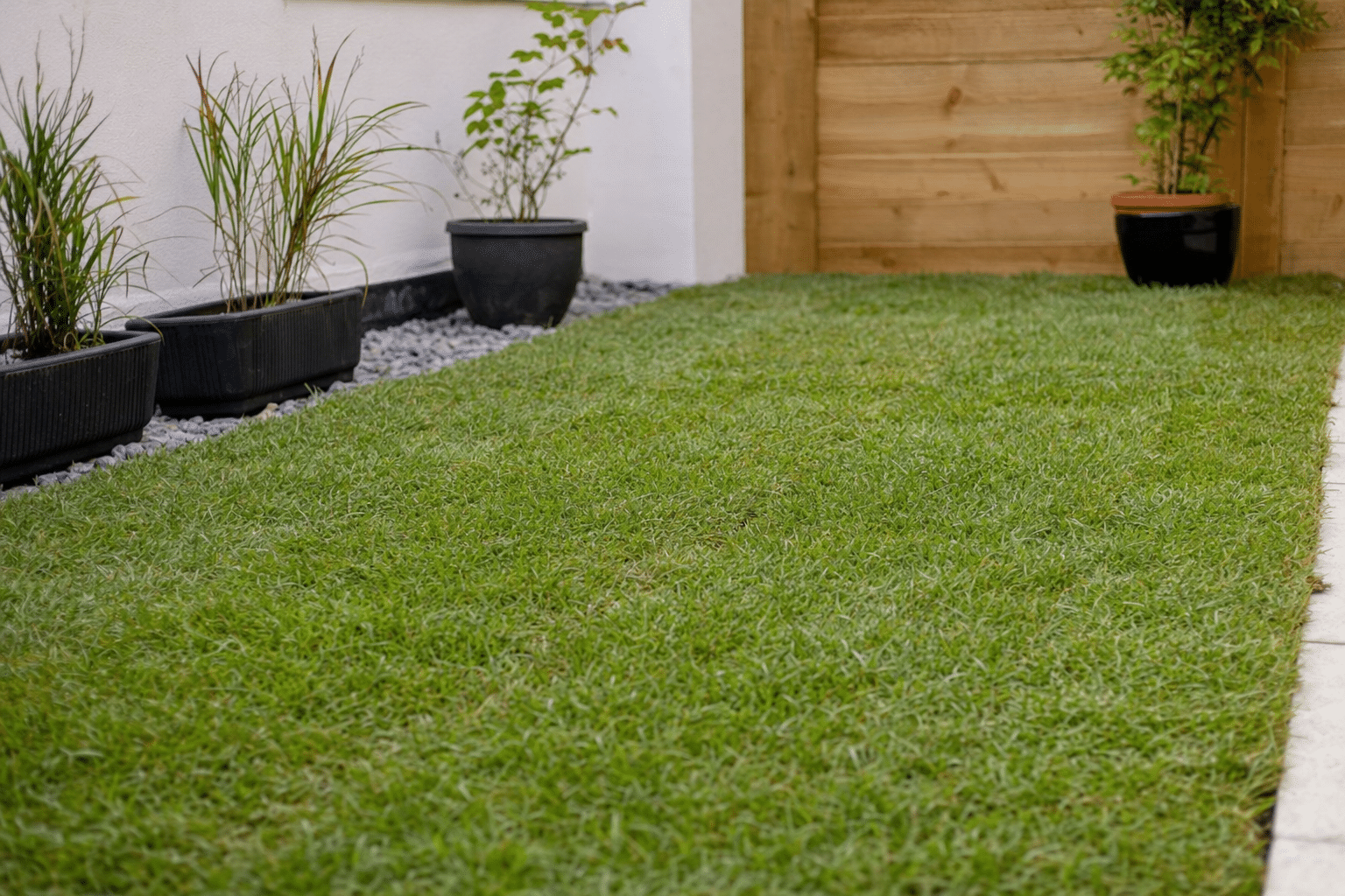 new turf laid on levelled rootzone in the same back garden in Woolwich SE18