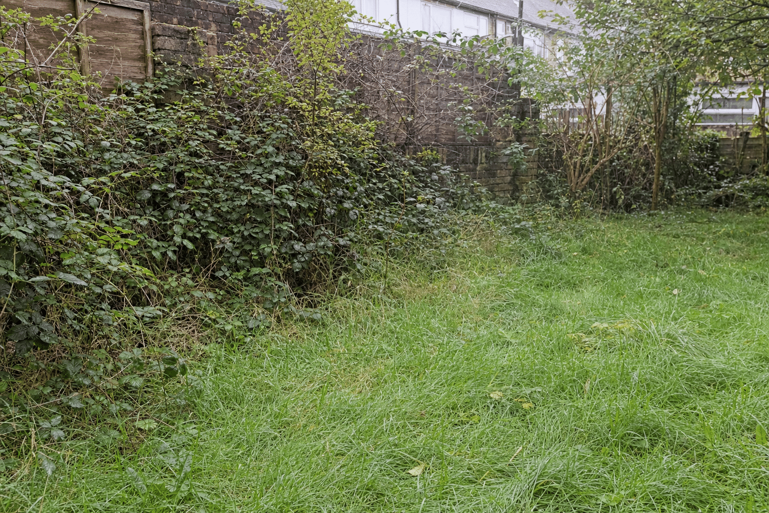 overgrown back lawn and bramble behind a 1930s semi in Eltham SE9 before a first maintenance visit