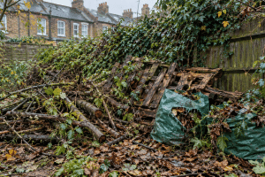 overgrown garden in south east london